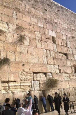 Photograph of the Kotel in Jerusalem by Eliyahu Shear