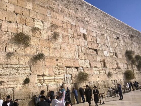 Photograph of the Kotel in Jerusalem by Eliyahu Shear